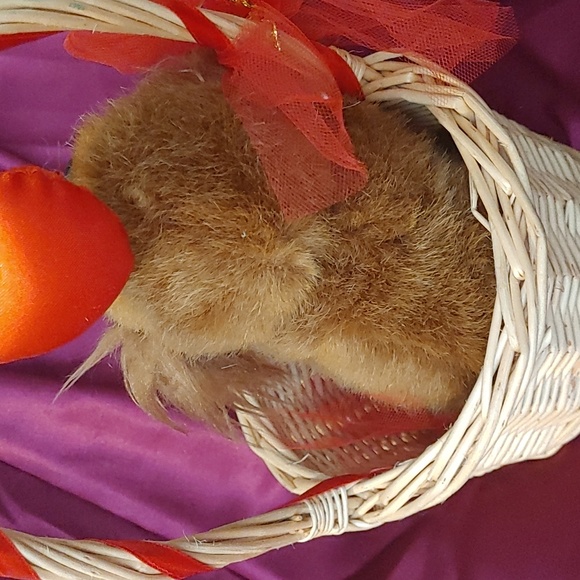 4/$20 'I Love You' Puppy in a Basket - Picture 3 of 3